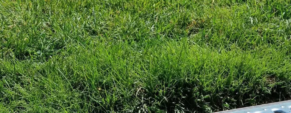 paslanmaz kanal ızgarası